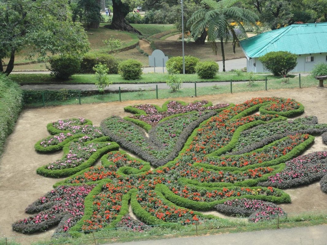 Hakgala Gardens